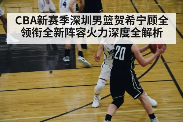 CBA新赛季深圳男篮贺希宁顾全领衔全新阵容火力深度全解析