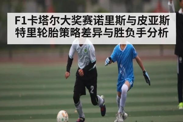 F1卡塔尔大奖赛诺里斯与皮亚斯特里轮胎策略差异与胜负手分析
