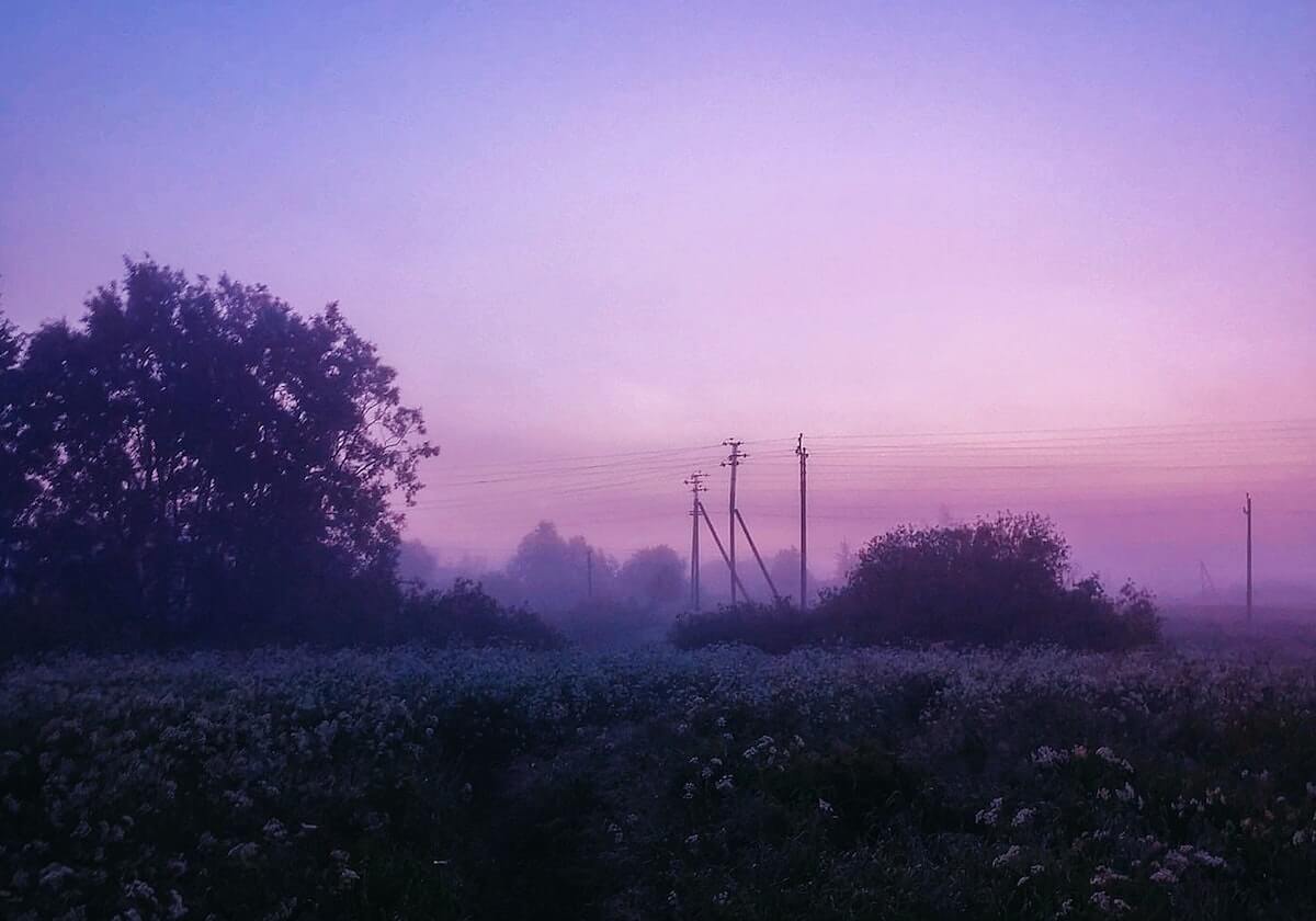 WBG拿下小龙反超经济，Xiaohu击杀Wei顺势拿下超神